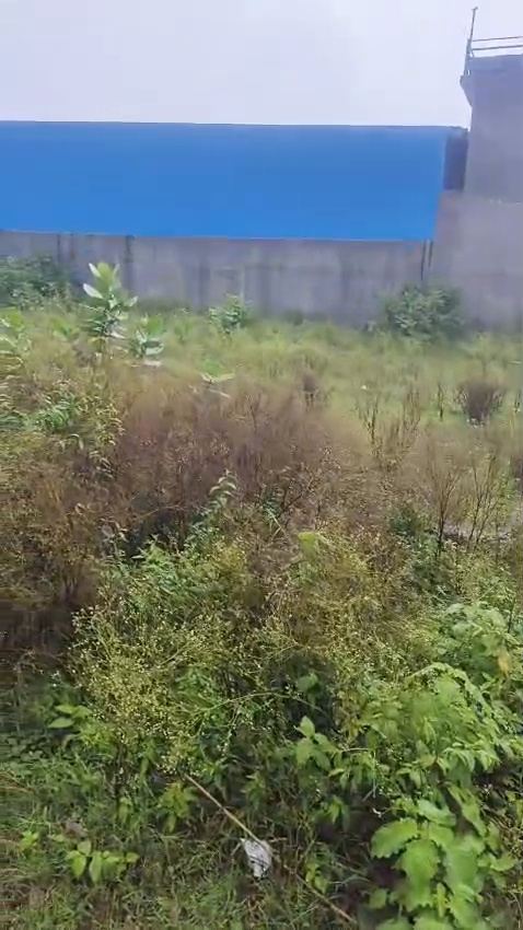 Semi-Commercial Property for Sale in Haripur Jamansingh, West-Facing, 50 Ft Road