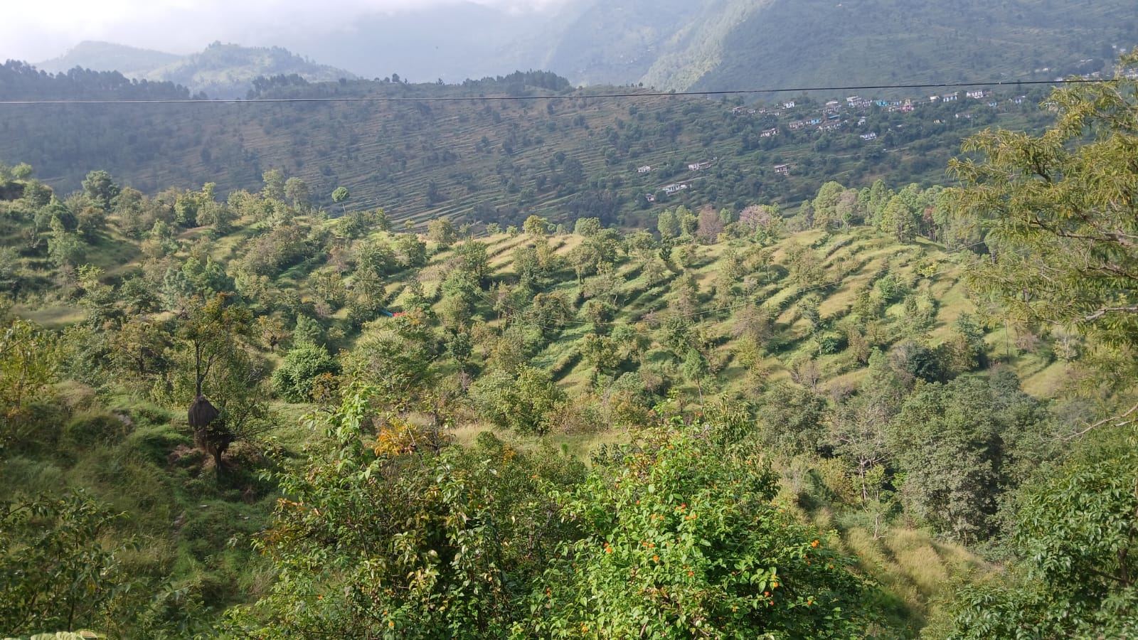अल्मोड़ा, उत्तराखंड में 140 नाली भूमि बिक्री हेतु उपलब्ध