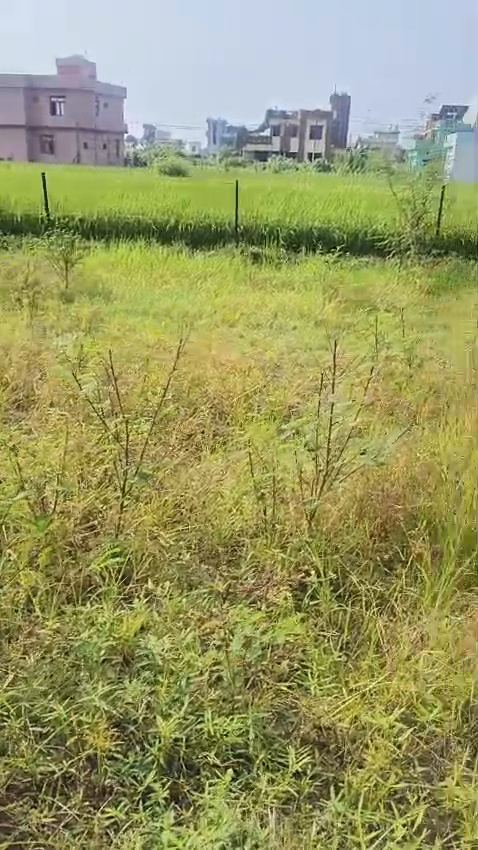 Residential Plot for Sale in Dholakhera Near  Punchmukhi Hanuman Mandir